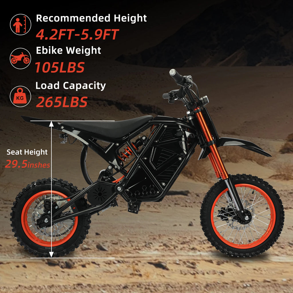 Electric Bike  48V 21AH 3000W Motor  Electric Bicycle 55KM/H Max Speed Motorcycle Style E-bike