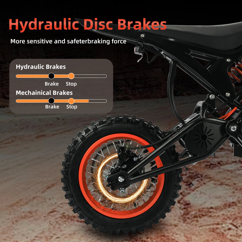 Electric Bike  48V 21AH 3000W Motor  Electric Bicycle 55KM/H Max Speed Motorcycle Style E-bike