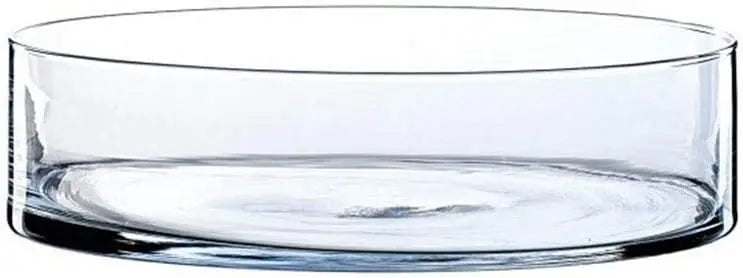 WGV Cylinder Vase Bulk, Open Width 12", Height 6", Clear Flat Pan Style Container, Planter Terrarium, Floral Centerpiece for Wed