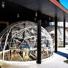 3m/3.6m Glamping Garden Dome Igloo Upgraded Greenhouse Dome Tents Clear Transparent Dome Tent With TPU Cover And Polyester Mesh