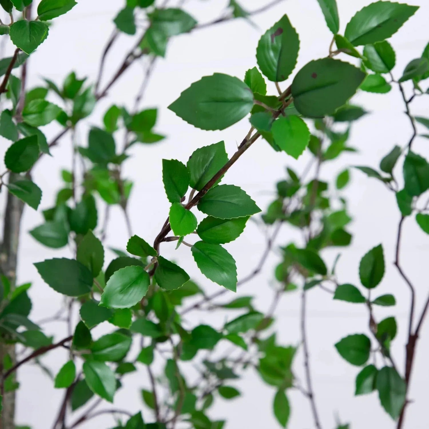 10’ Artificial Citrus Minimalist Tree Home Decor.