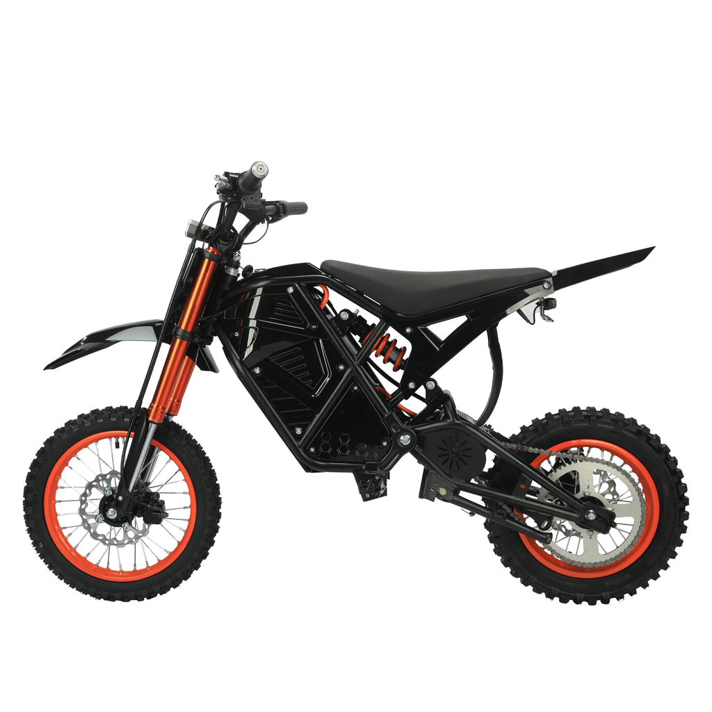 Electric Bike  48V 21AH 3000W Motor  Electric Bicycle 55KM/H Max Speed Motorcycle Style E-bike
