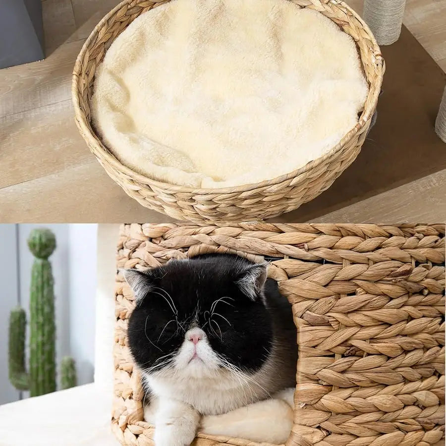 Large Wood Cat Tree Tower for Indoor Cats, Multi-Cats Scratching Post & Cat Condo with Handwoven Cat House Basket, Thick Sisal P