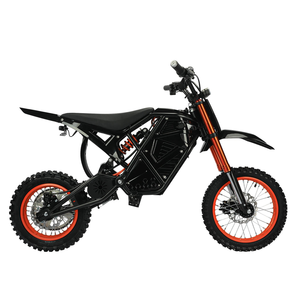 Electric Bike  48V 21AH 3000W Motor  Electric Bicycle 55KM/H Max Speed Motorcycle Style E-bike